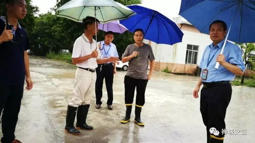禅城安监部门积极防御台风 帕卡 预防事故发生